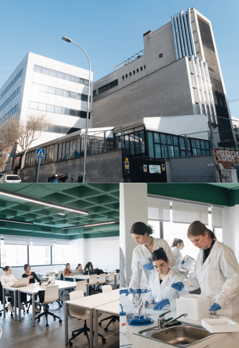 Edificio de Madrid, aulas y alumnos
