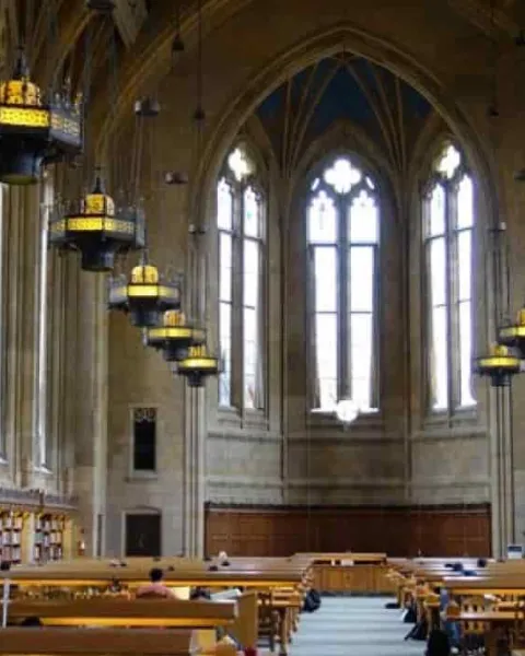  Biblioteca de la Universidad de Washington, estilo gótico colegial.