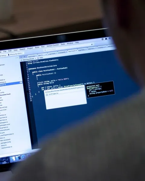 Programador trabajando con su ordenador