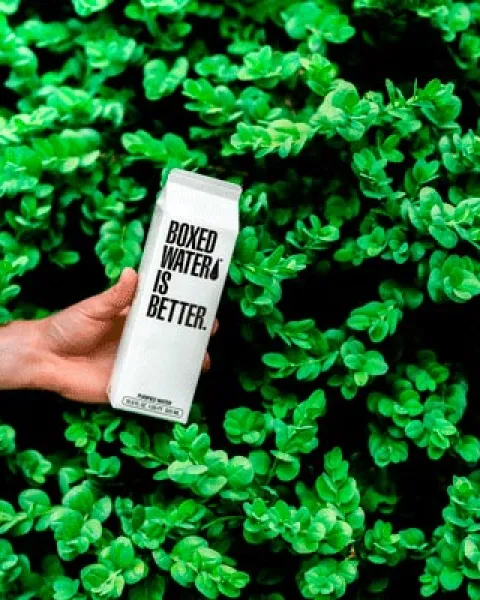 Mindful Marketing | iFP