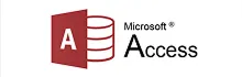PFP Logo Acces
