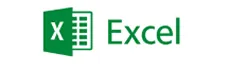 PFP Logo Excel